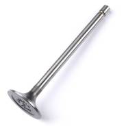8943958820 VALVE; INL
