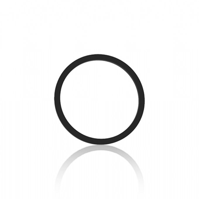 A0004661760 SEALING RING