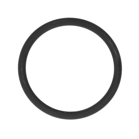 A0289976348 SEALING RING