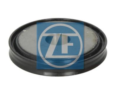 ZF MAN RING 0750112177-SAJID Auto Online