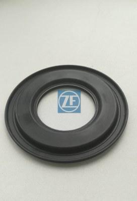 ZF SEALING RING 0734307287-SAJID Auto Online