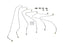 DT SCANIA INJECTION LINE KIT 1.12470-SAJID Auto Online