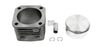 DT ACTROS PISTON ASSY COMP 100MM 4.61653-SAJID Auto Online