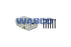 WABCO 4127049322 RENAULT REPAIR KIT-SAJID Auto Online