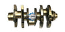 Velocity Solutions Crankshaft con rod OM421-V6-128MM PN: 4210302501-SAJID Auto Online